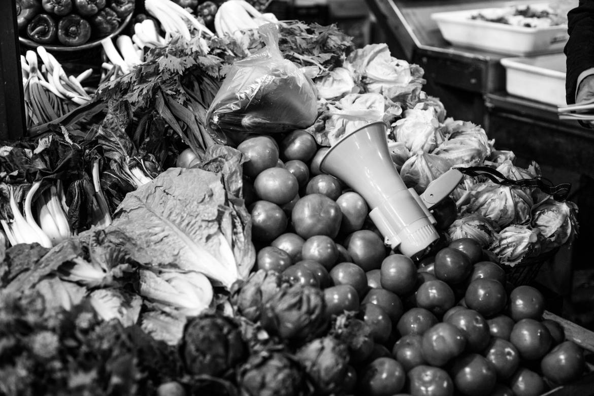 MercadoProgreso_MU_FIP17-3.jpg
