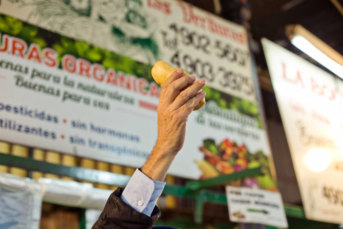 MercadoProgreso_MU_FIP17-5.jpg